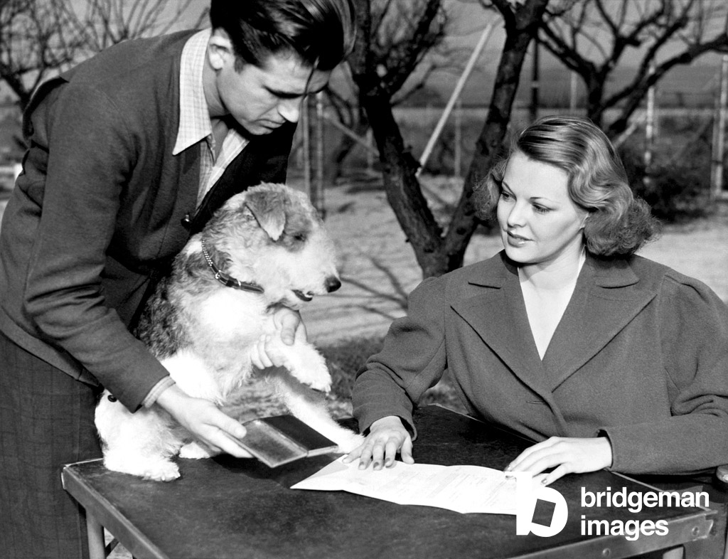 Skippy signe un contrat, Hollywood, Californie, 1937