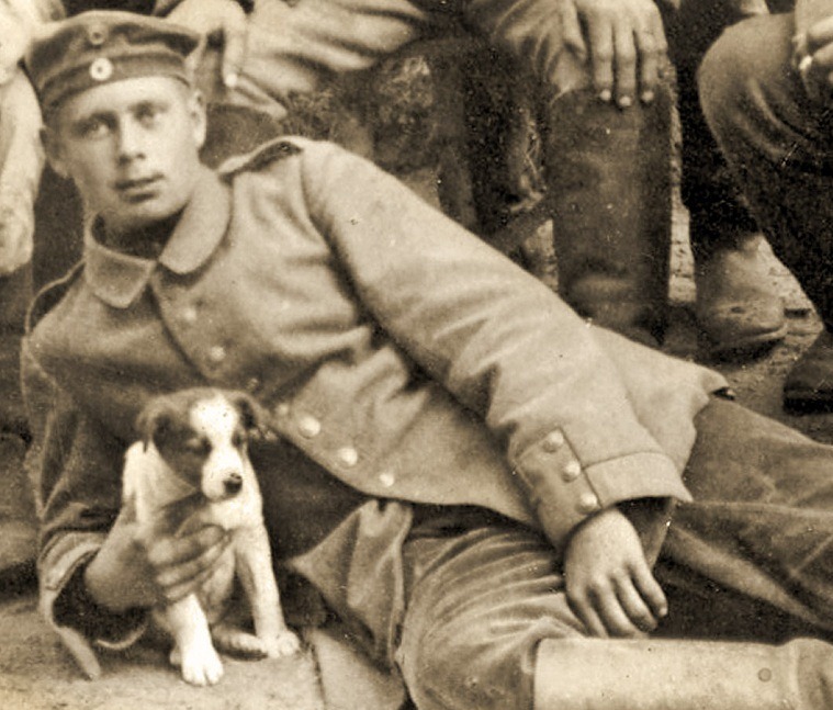 Les Animaux Héros pendant la Première Guerre Mondiale