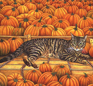 The Pumpkin -Cat - Ditz - 1995 - Collection particulière