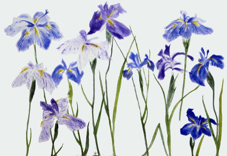 Irises, 2012 by Dame Elizabeth Blackadder (b.1931) Photo © The Scottish Gallery, Edinburgh / Bridgeman Images